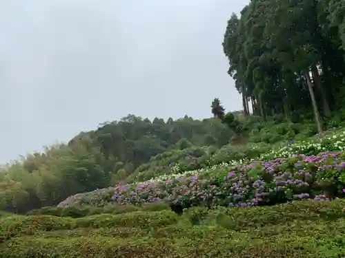 妙提寺の庭園