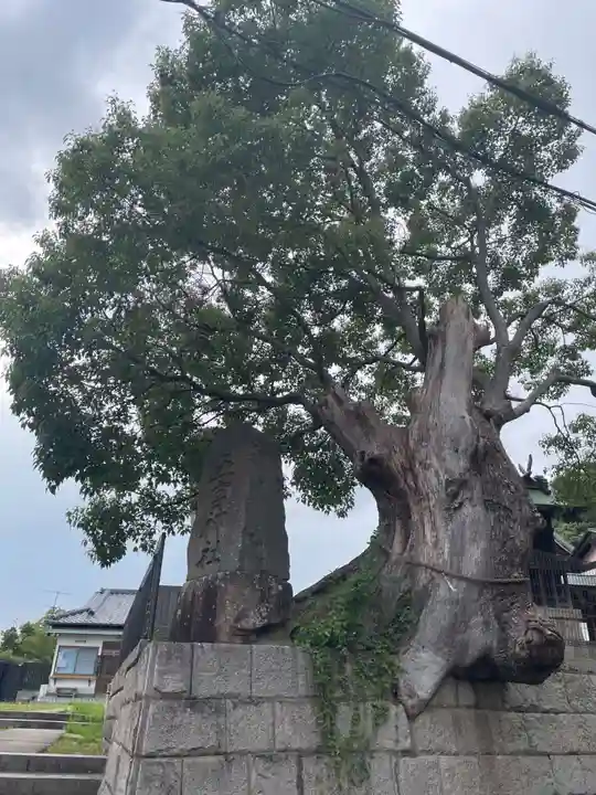 五宮神社(兵庫県)