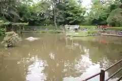 越ヶ谷久伊豆神社の庭園