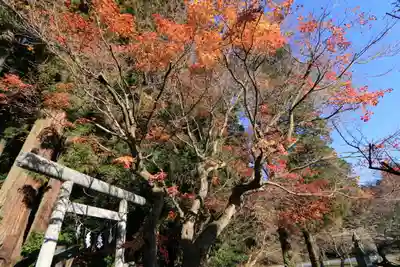鹿島大神宮の鳥居