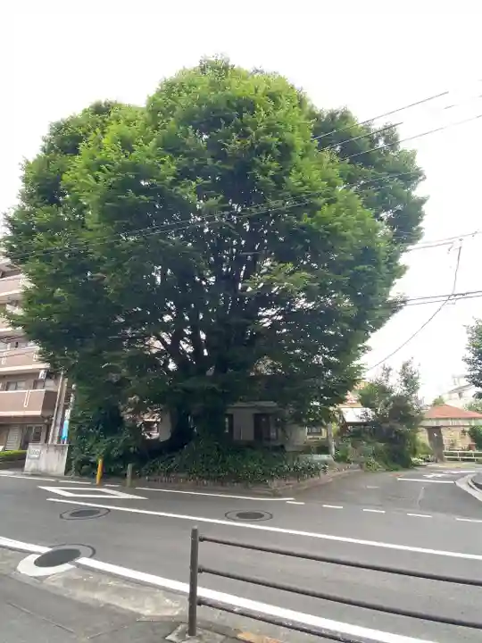 小野神社の自然