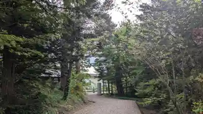 東神楽神社の自然