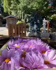 立志神社(滋賀県)