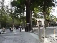 伊勢神宮外宮(豊受大神宮)(三重県)