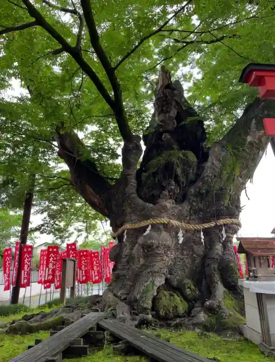 秩父今宮神社(埼玉県)