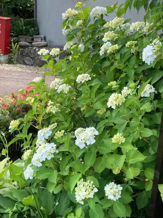 長光寺(長野県)