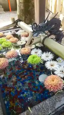 蛇窪神社(東京都)