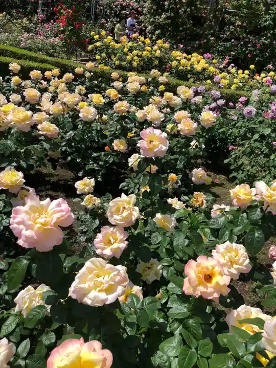霊山寺(奈良県)