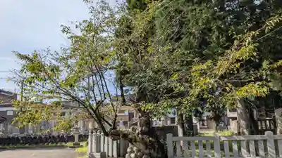 五十橿神社の自然