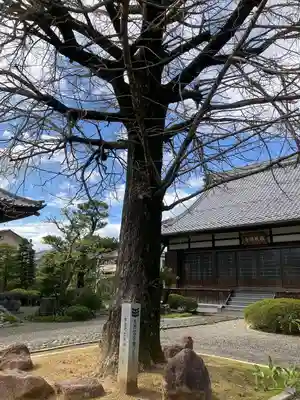 梅英寺(岐阜県)