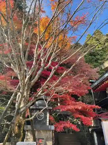 大山阿夫利神社の景色