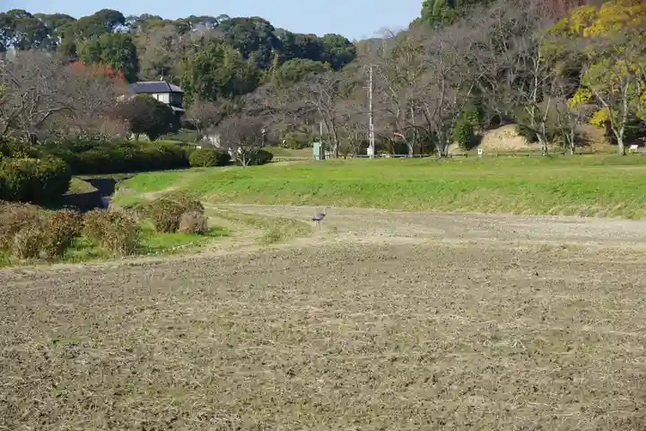 坂本八幡宮の周辺
