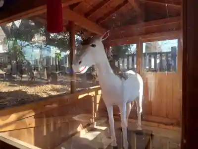 大星神社(長野県)