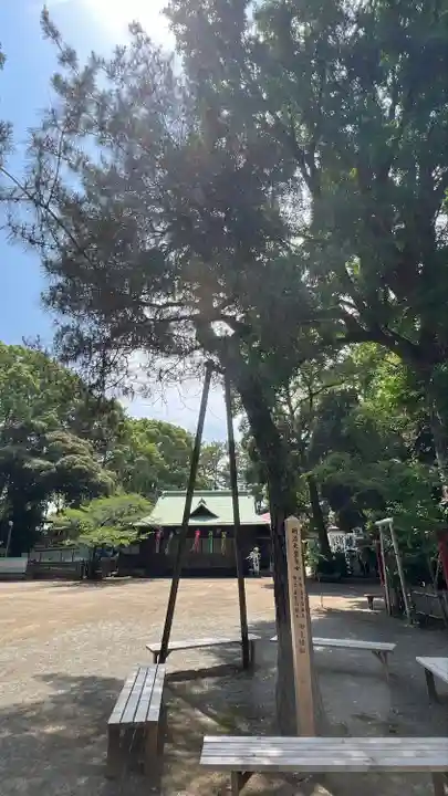 平塚八幡宮(神奈川県)