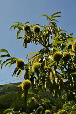 三島神社（川中）(愛媛県)