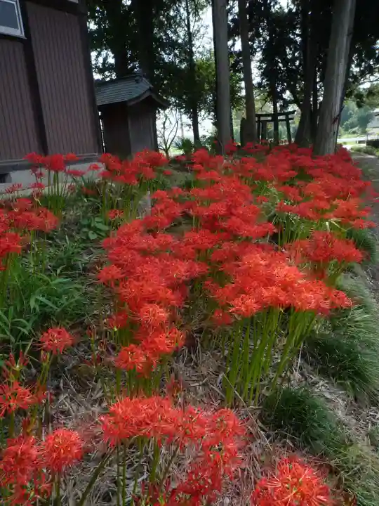 駒形神社の自然