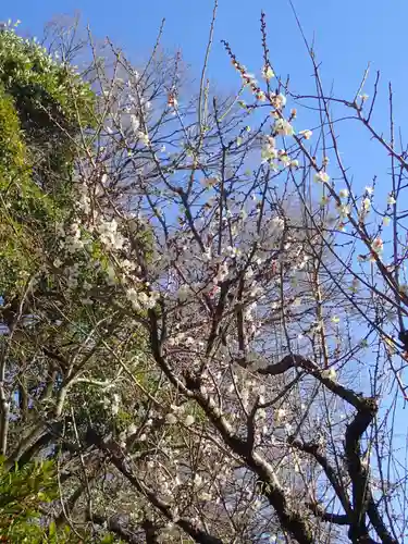 根岸八幡神社(神奈川県)