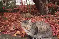 前山寺(長野県)