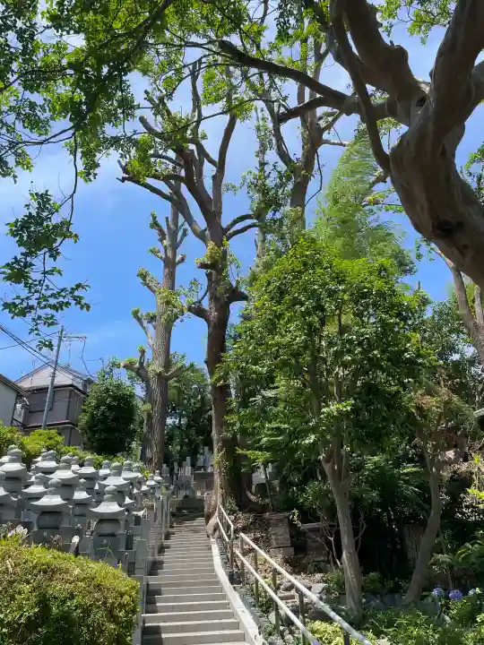 浄土宗 光明山 大蓮寺(照曜会館)(神奈川県)