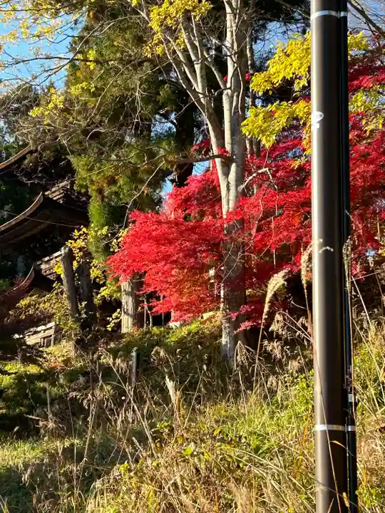 国宝 大法寺(長野県)