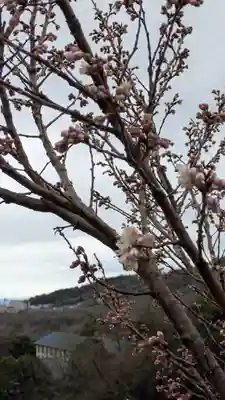 靈山寺（霊山寺）(大阪府)