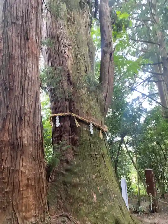 白山比咩神社(石川県)