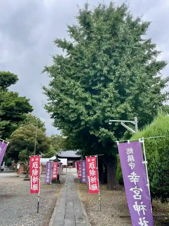 幸宮神社(埼玉県)