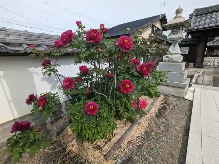総持寺(滋賀県)