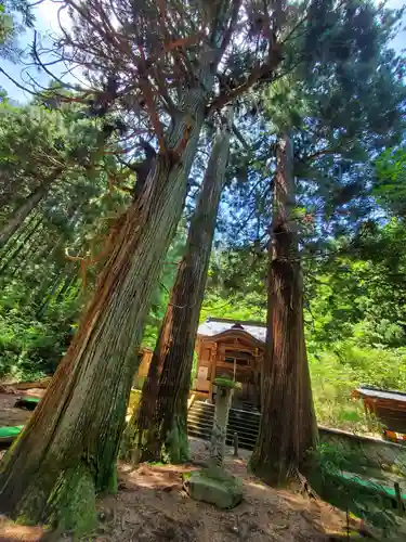 藤沼神社(福島県)