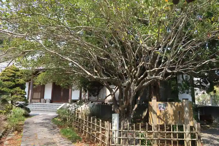 正法寺(愛知県)