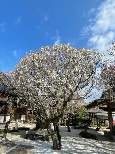 綱敷天満宮の自然