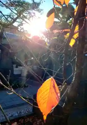 鳩森八幡神社(東京都)
