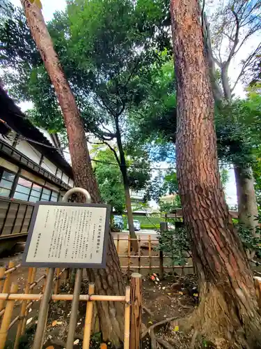 祇園寺(東京都)