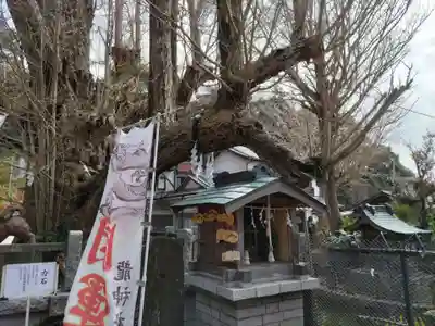 海南神社(神奈川県)