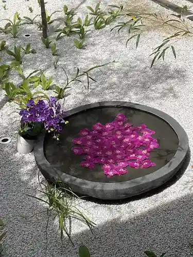 西来院(京都府)