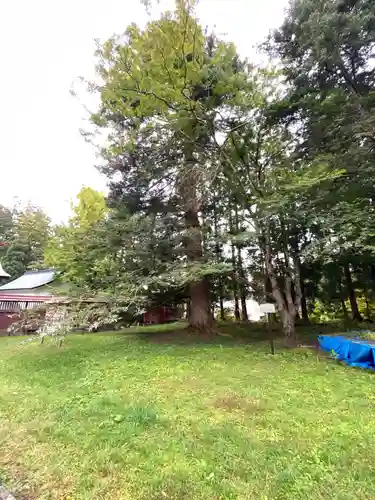 高照神社の周辺