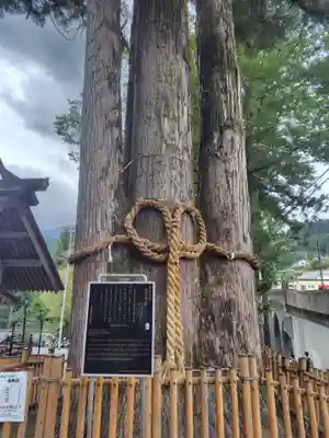 奥氷川神社(東京都)