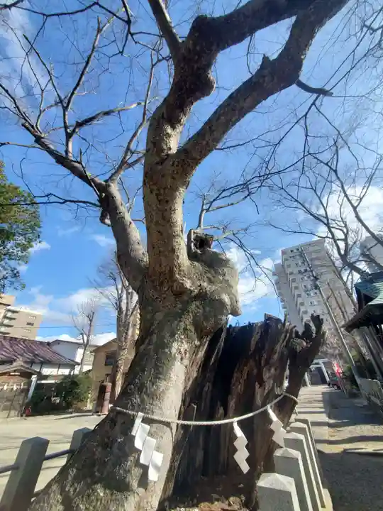 阿邪訶根神社(福島県)