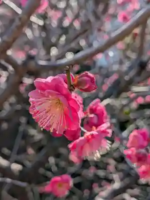 福蔵院(東京都)