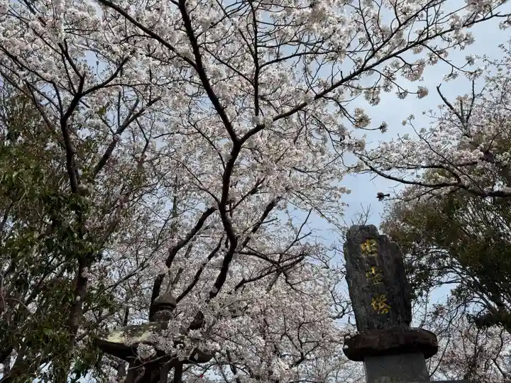美奈宜神社(福岡県)