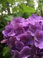 石都々古和気神社の自然