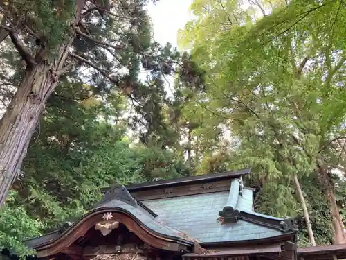 胎安神社(茨城県)