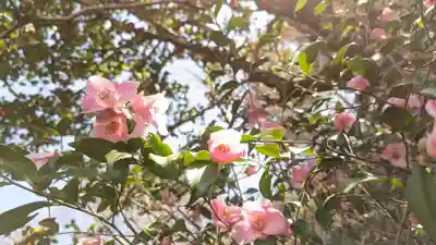 霊鑑寺門跡(京都府)