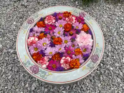 埼玉厄除け開運大師・龍泉寺（切り絵御朱印発祥の寺）の手水舎