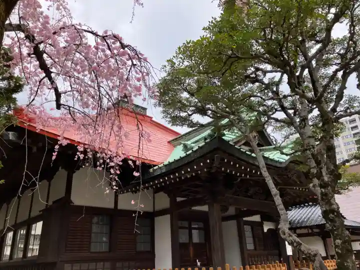称名寺の本殿・本堂