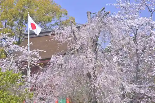 富士山本宮浅間大社(静岡県)