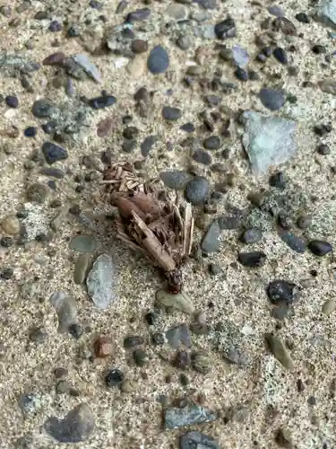 三島神社(千葉県)