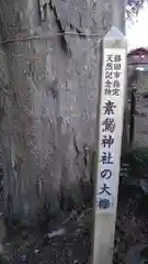 素鵞神社の自然