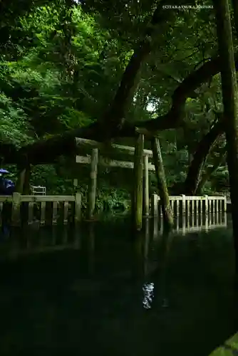 鹿島神宮(茨城県)