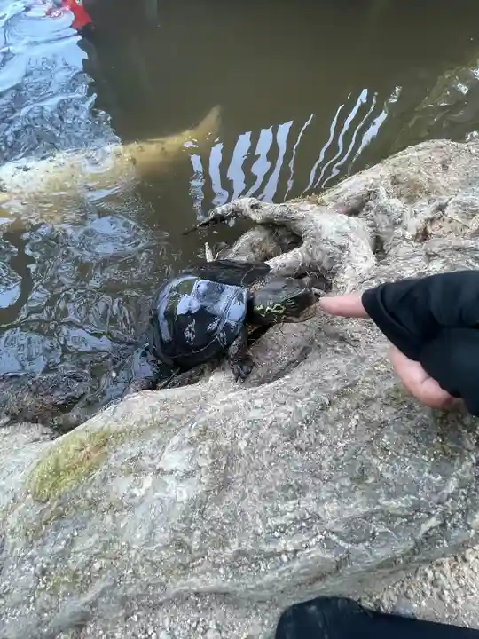 極楽寺(広島県)
